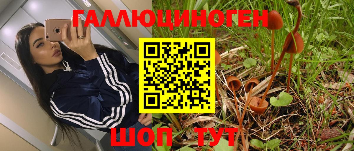 Псилоцибиновые грибы прущие грибы Белово