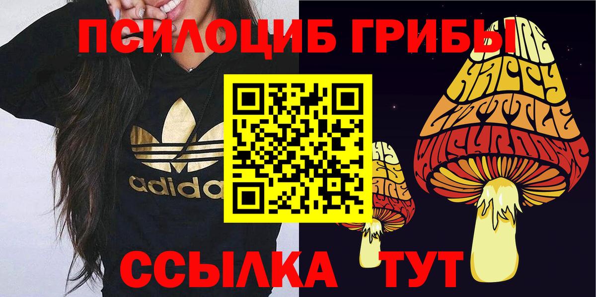 Галлюциногенные грибы Magic Shrooms  Вход с VPN  Белово 